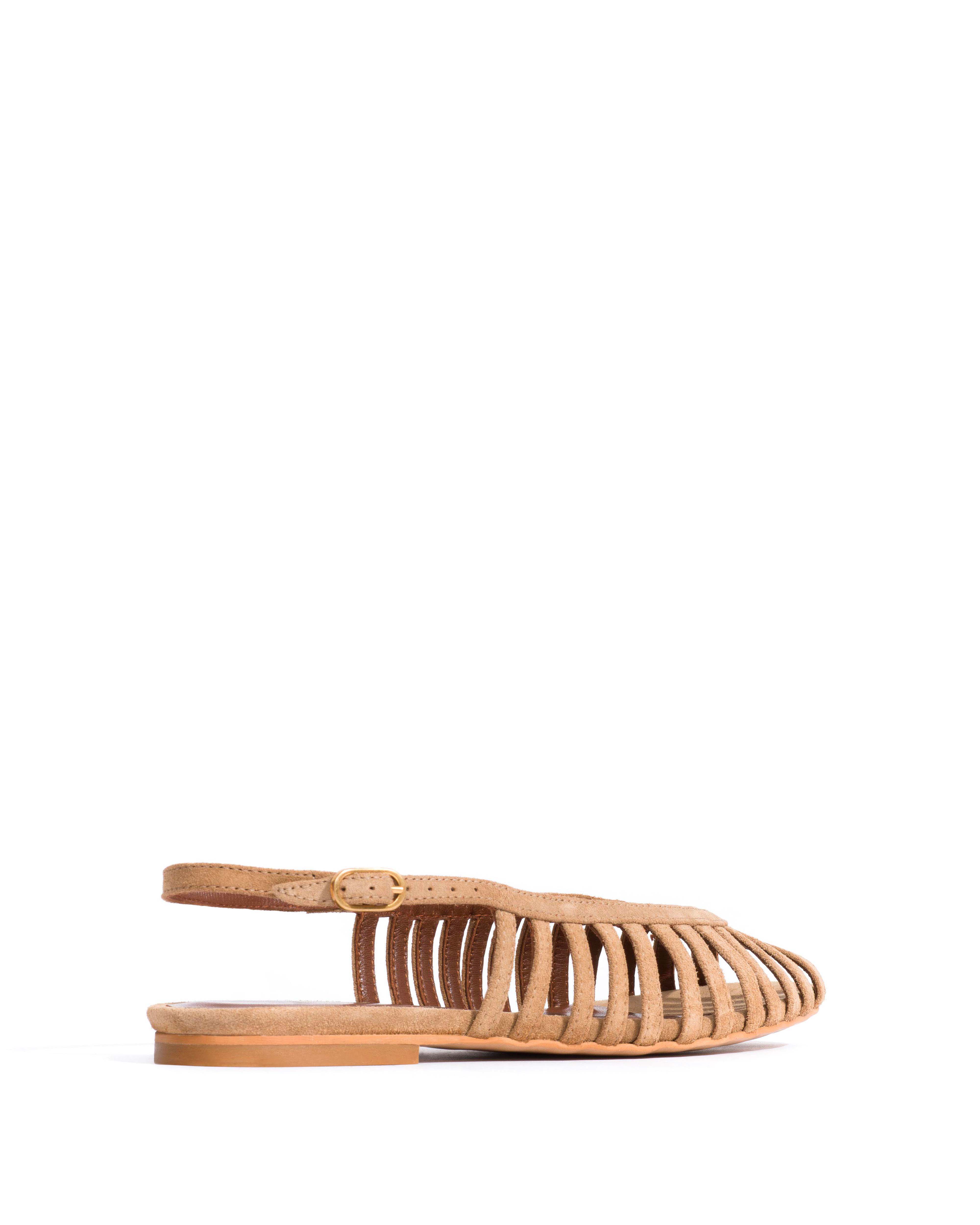 Carminho 10 Calf suede Scirocco