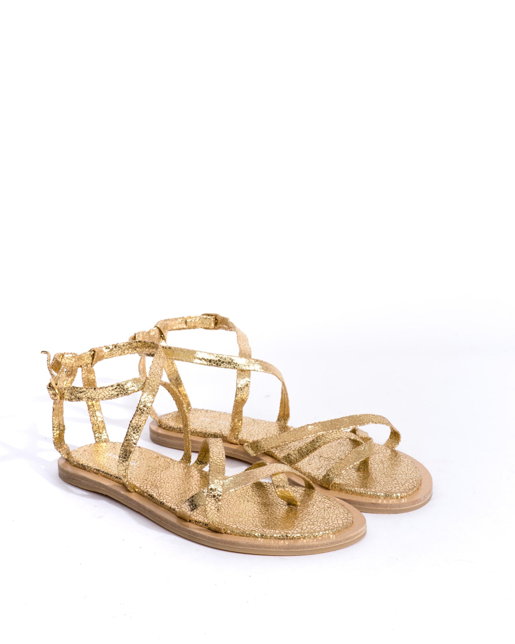 Sample-00196 - Anonymous Copenhagen Samples