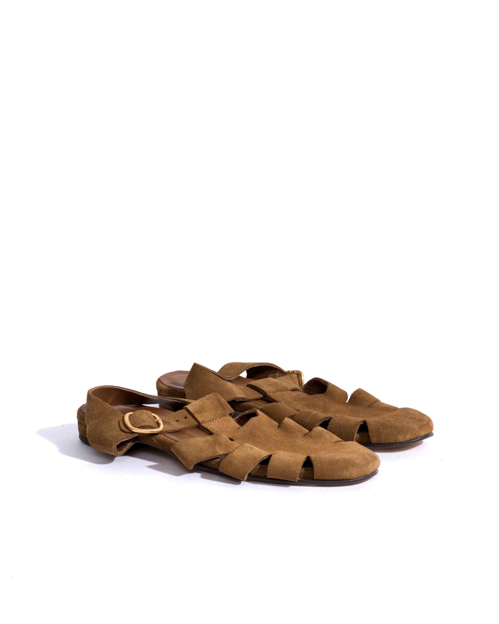 Sample-02398 - Anonymous Copenhagen Samples