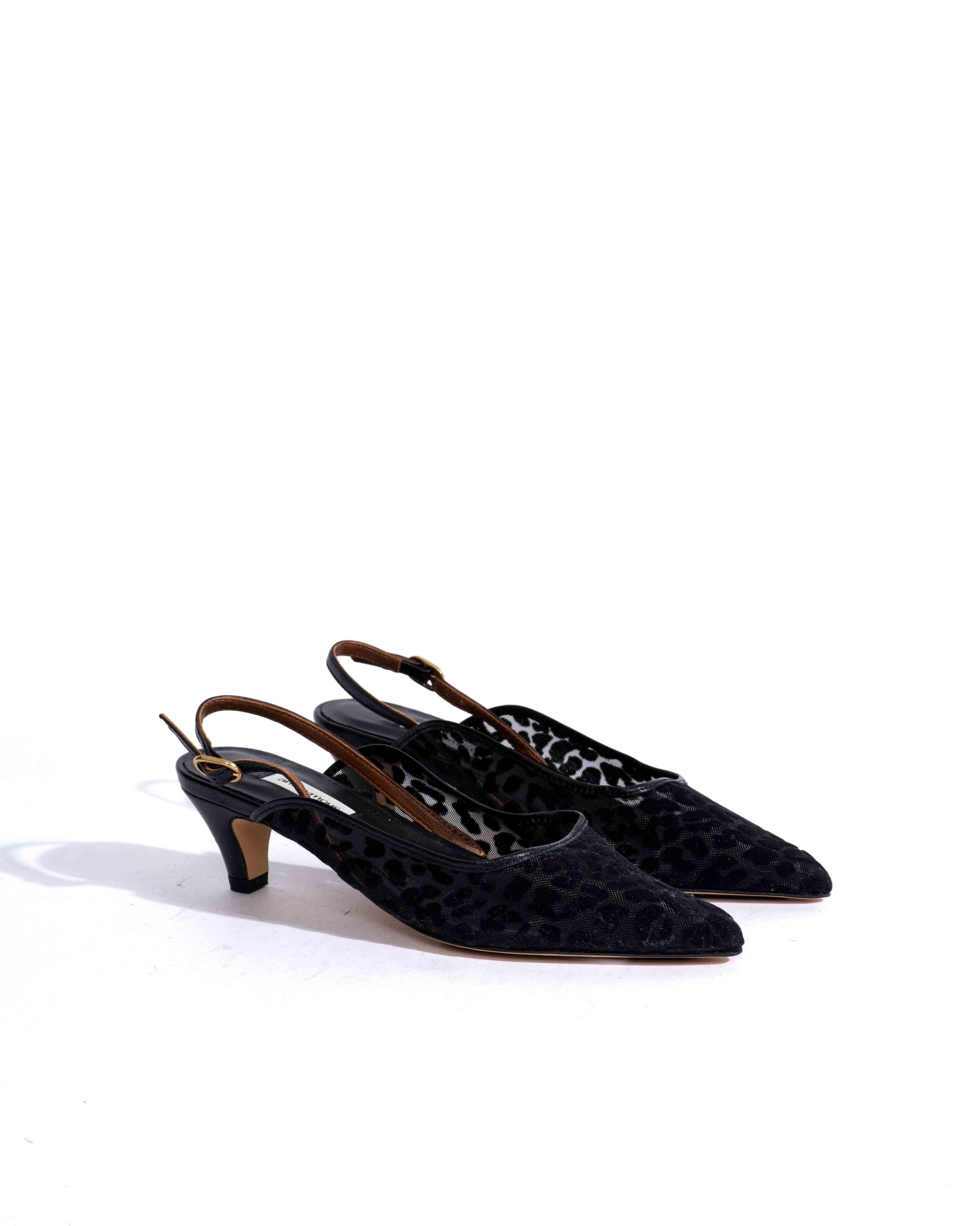 Sample-02561 - Anonymous Copenhagen Samples