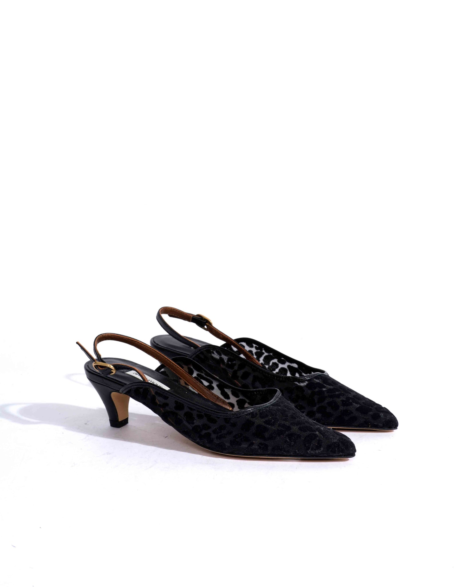 Sample-02561 - Anonymous Copenhagen Samples