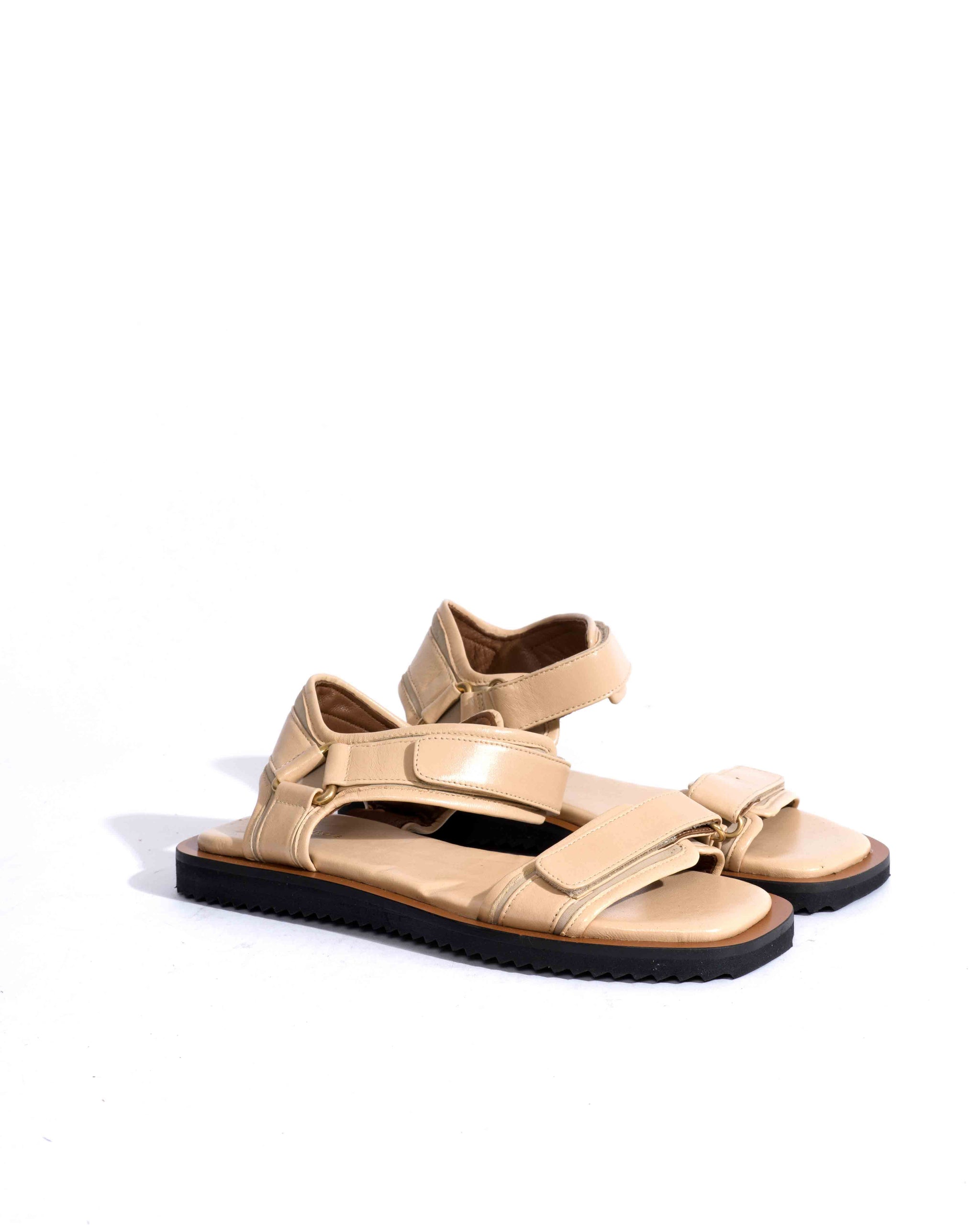 Sample-02583 - Anonymous Copenhagen Samples