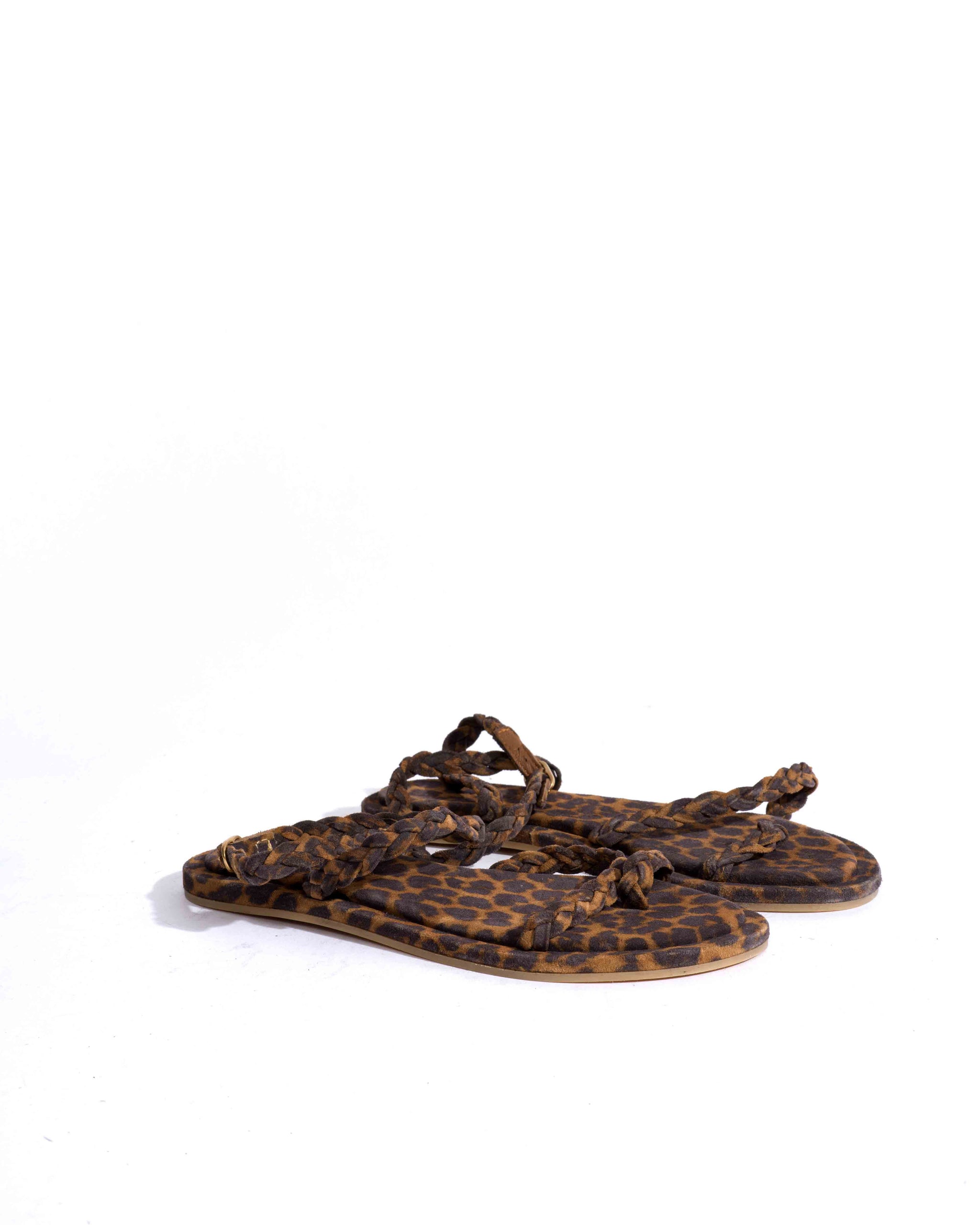 Sample-02597 - Anonymous Copenhagen Samples