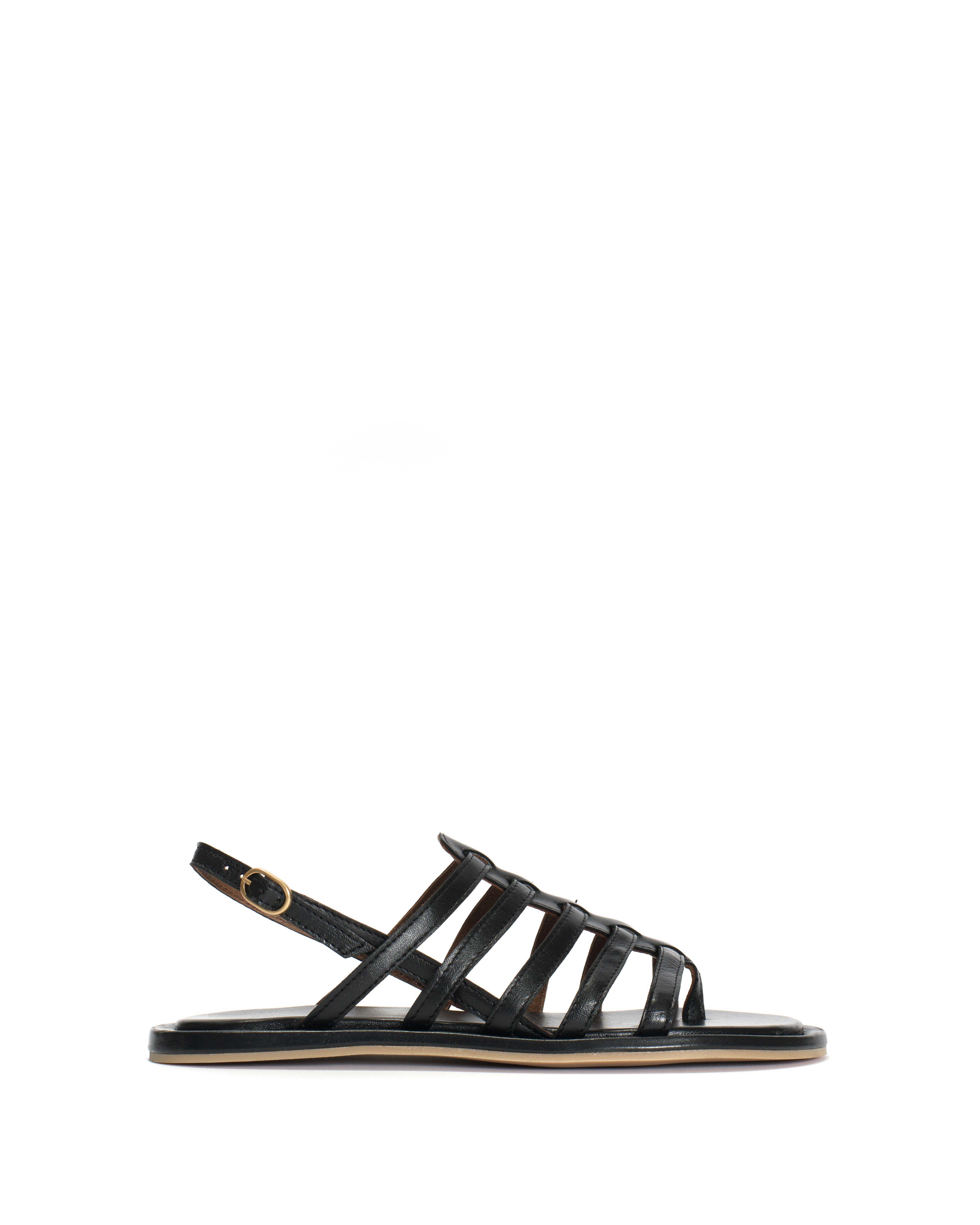 Els 10 covered Shiny lamb Black