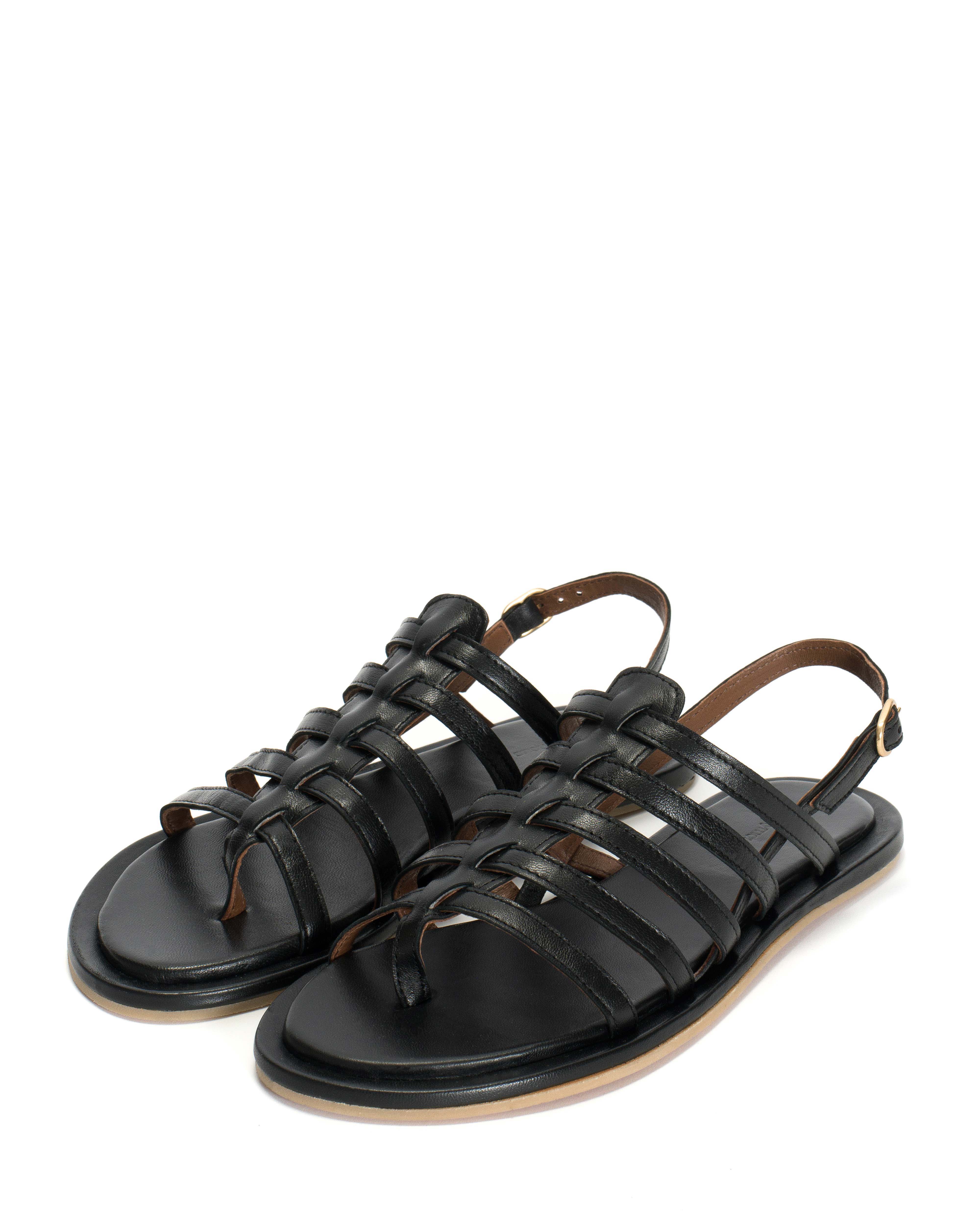 Els 10 covered Shiny lamb Black