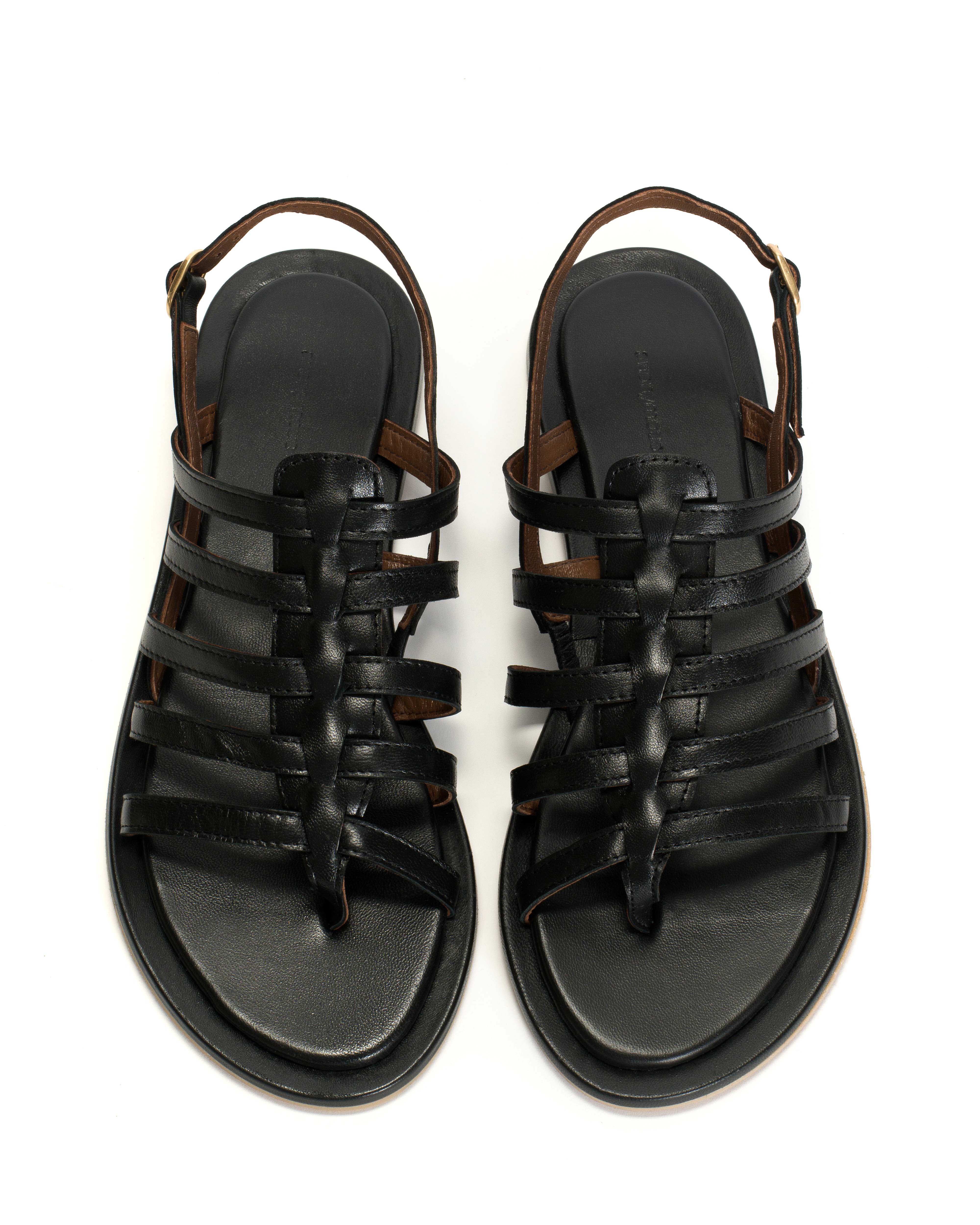 Els 10 covered Shiny lamb Black