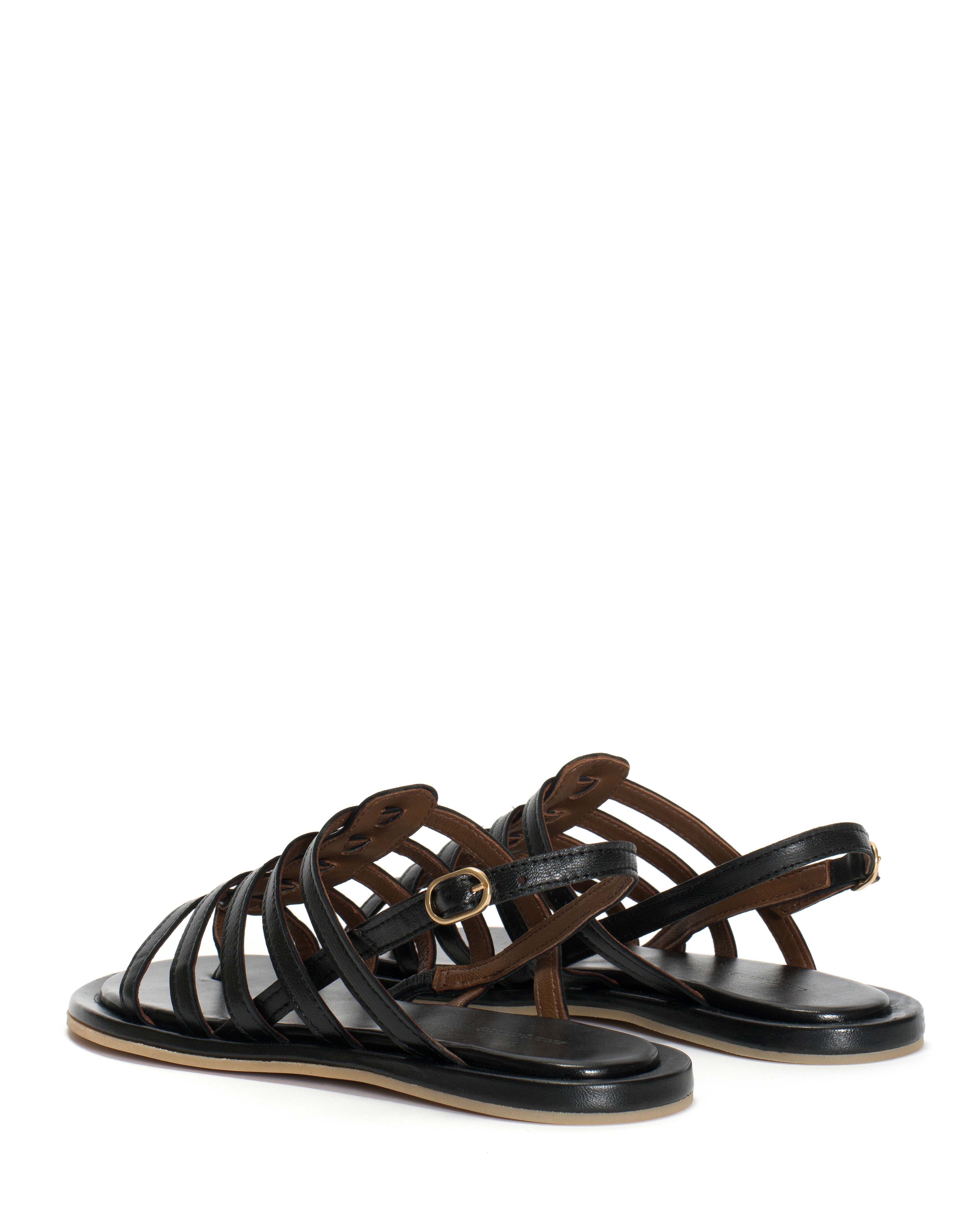 Els 10 covered Shiny lamb Black