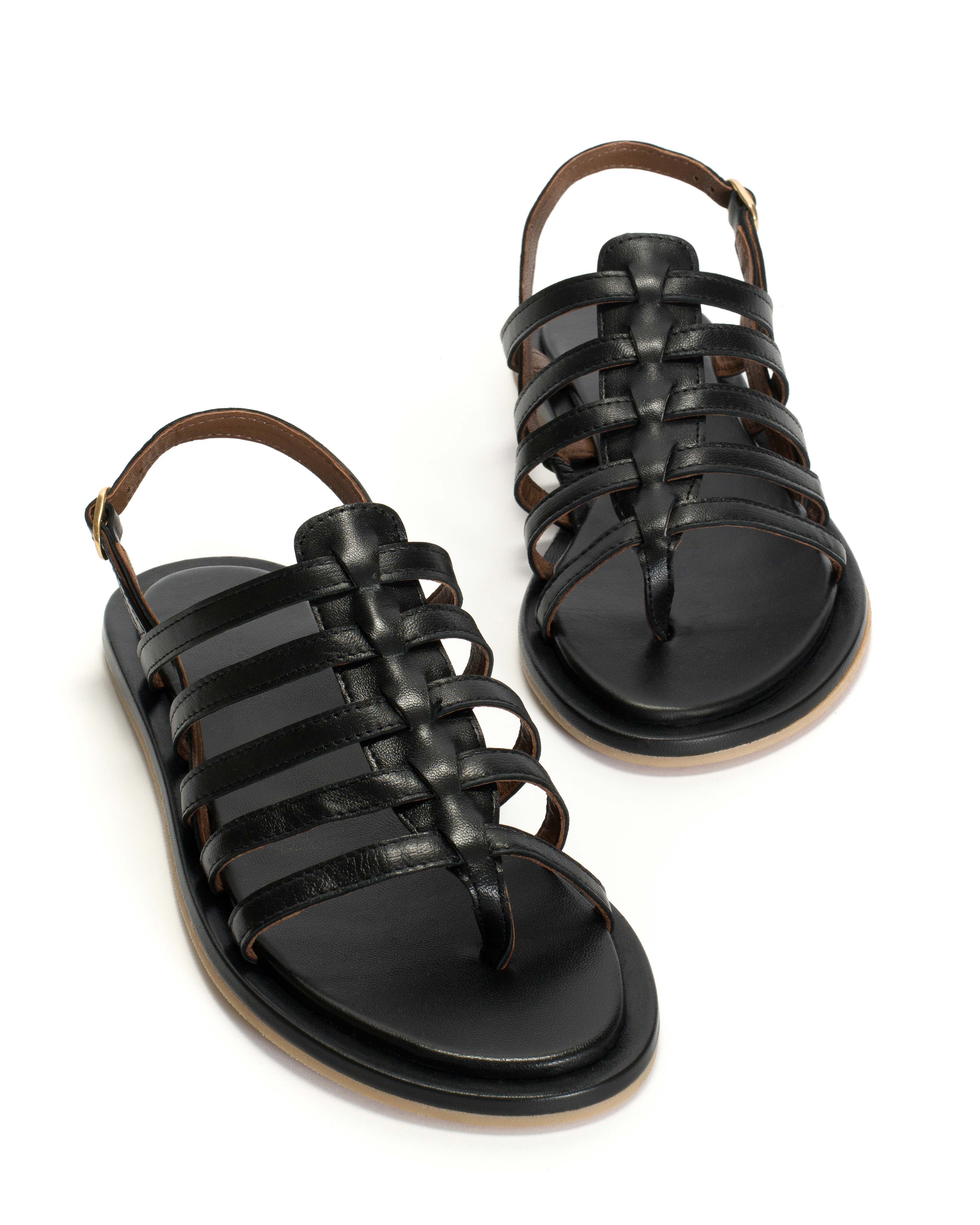 Els 10 covered Shiny lamb Black