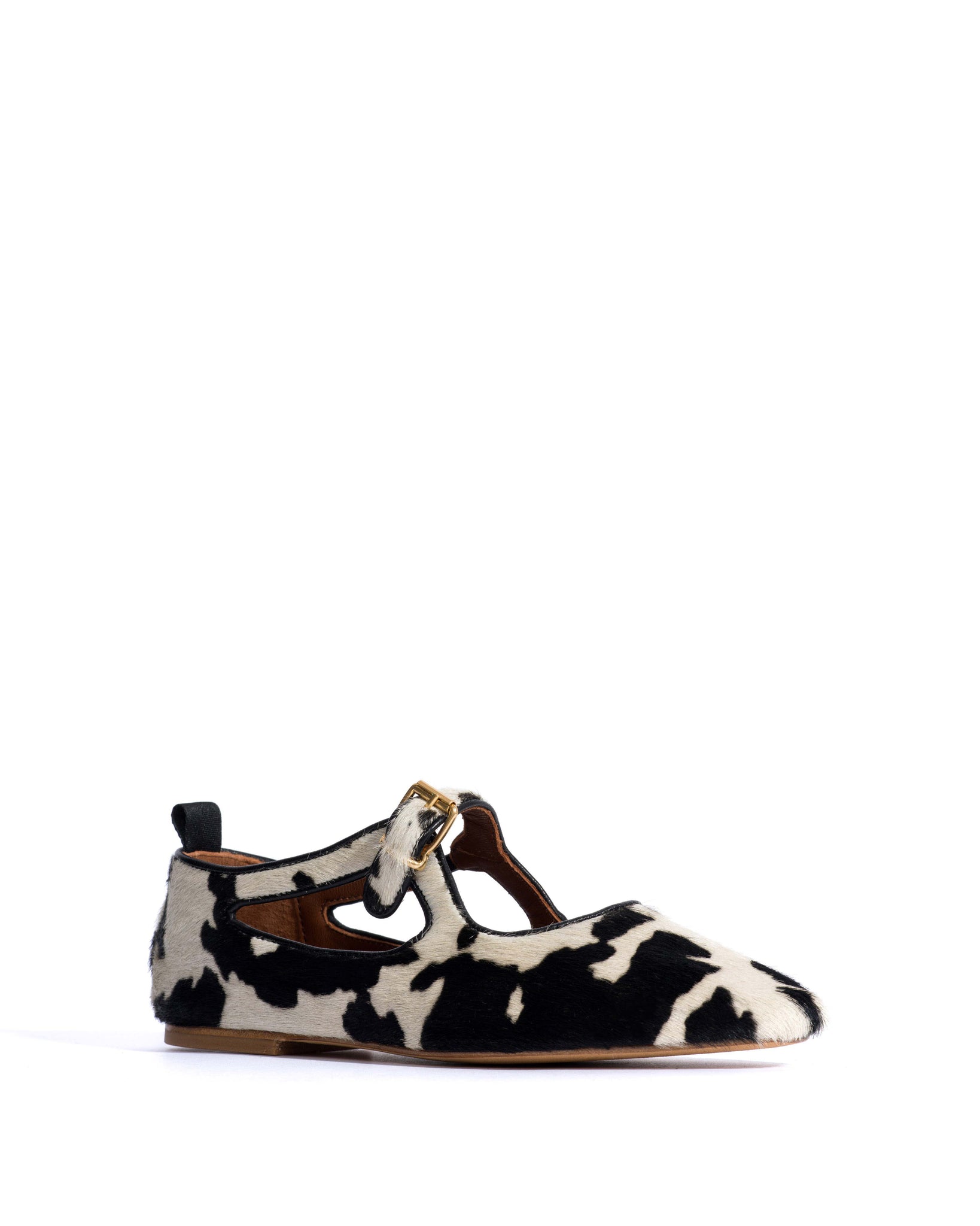Praise Calf hair Holstein cow