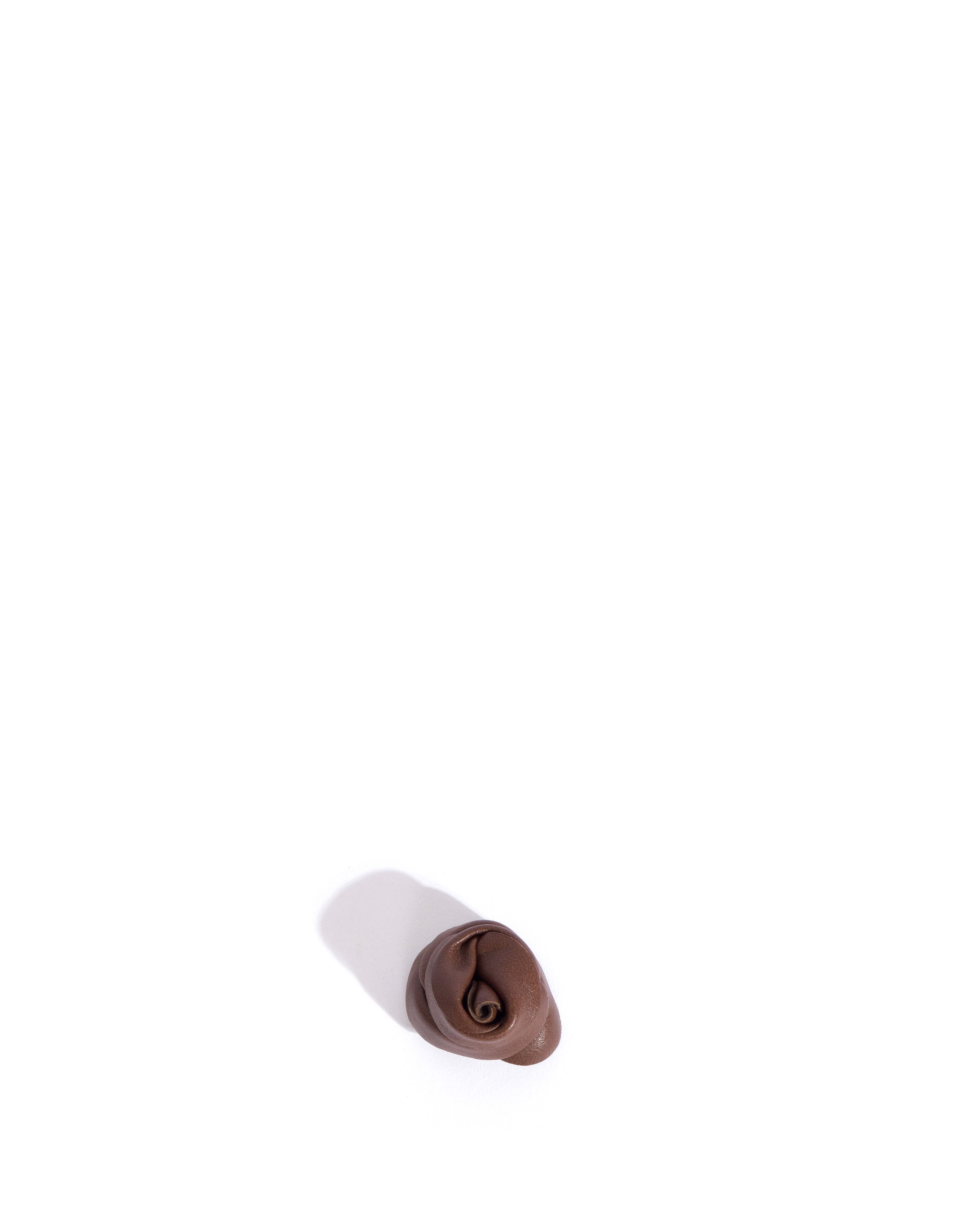Rose shoe clip Shiny lamb Chocolate