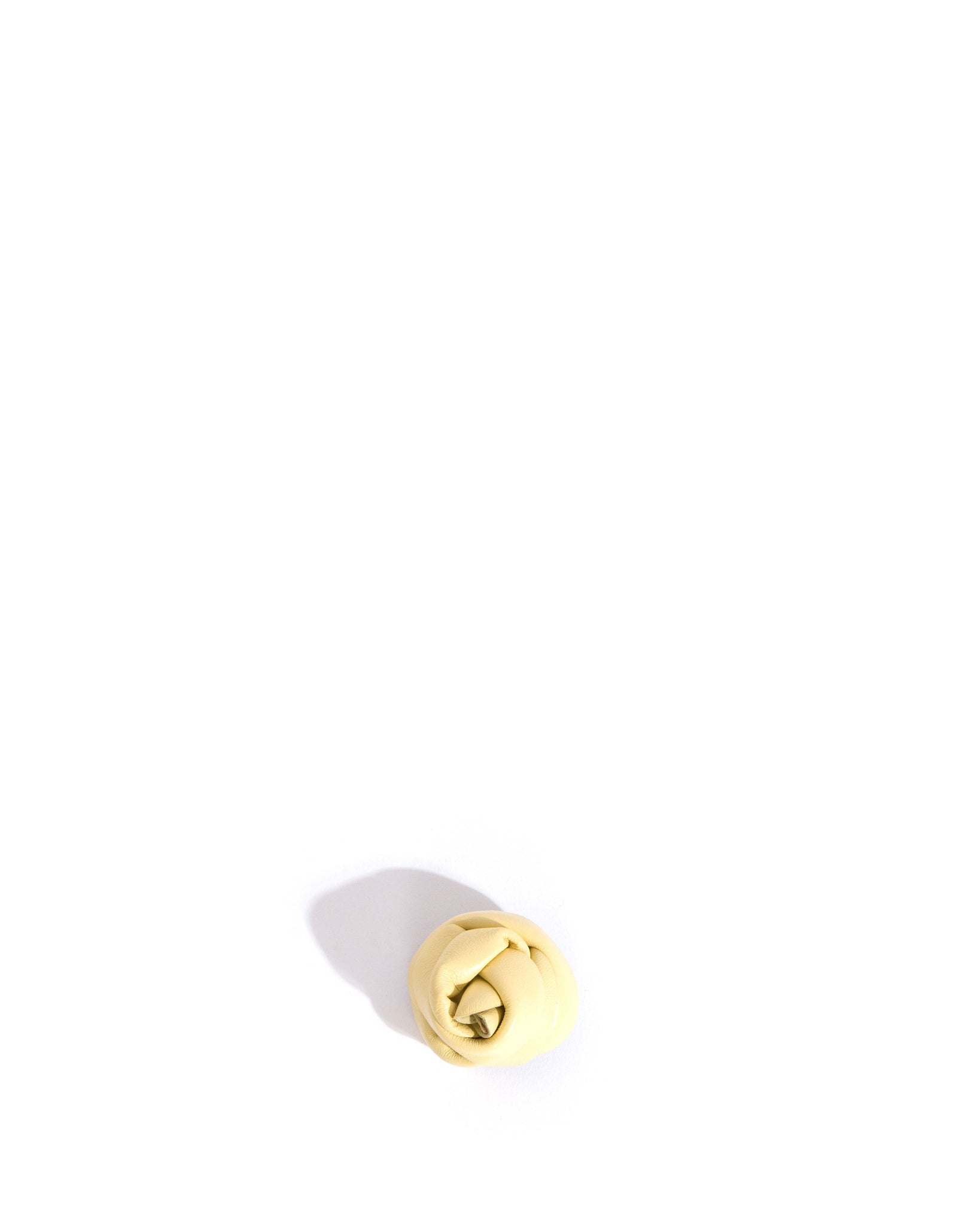Rose shoe clip Shiny lamb Pineapple ice - Anonymous Copenhagen Hair