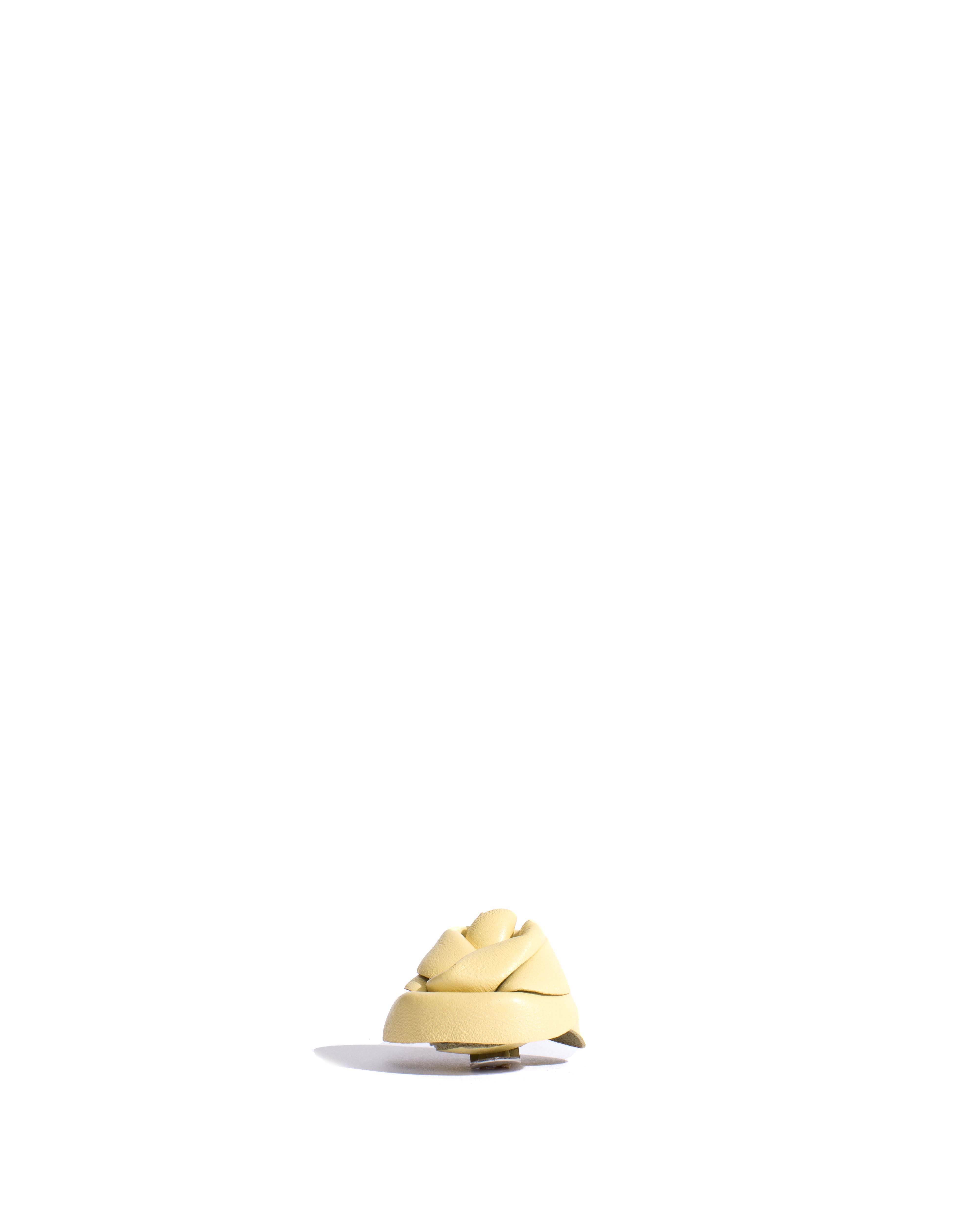 Rose shoe clip Shiny lamb Pineapple ice