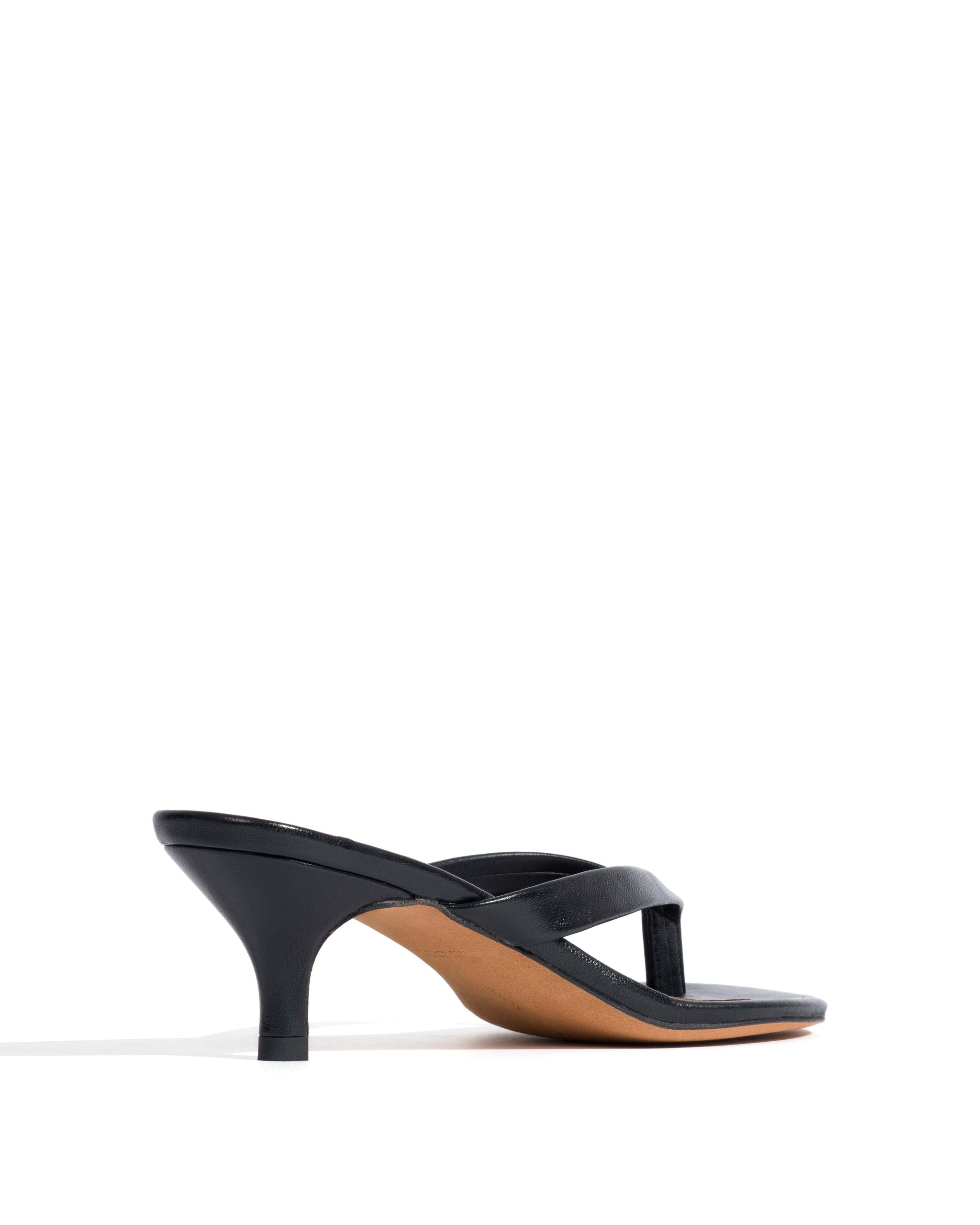 Chung 50 kitten Shiny lamb Black