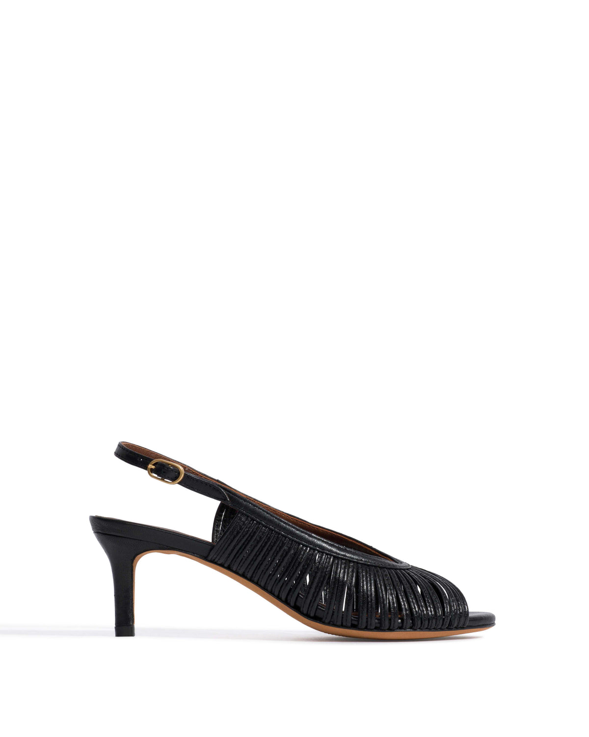Zenia 55 Shiny lamb Black