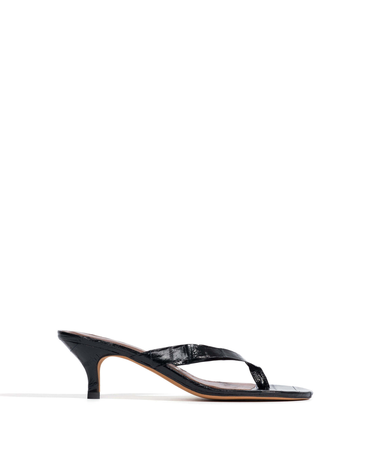 Chung 50 kitten Shiny eel Black