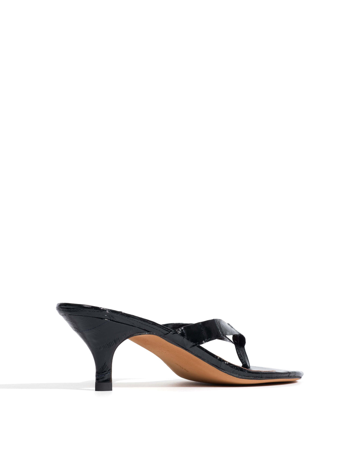 Chung 50 kitten Shiny eel Black