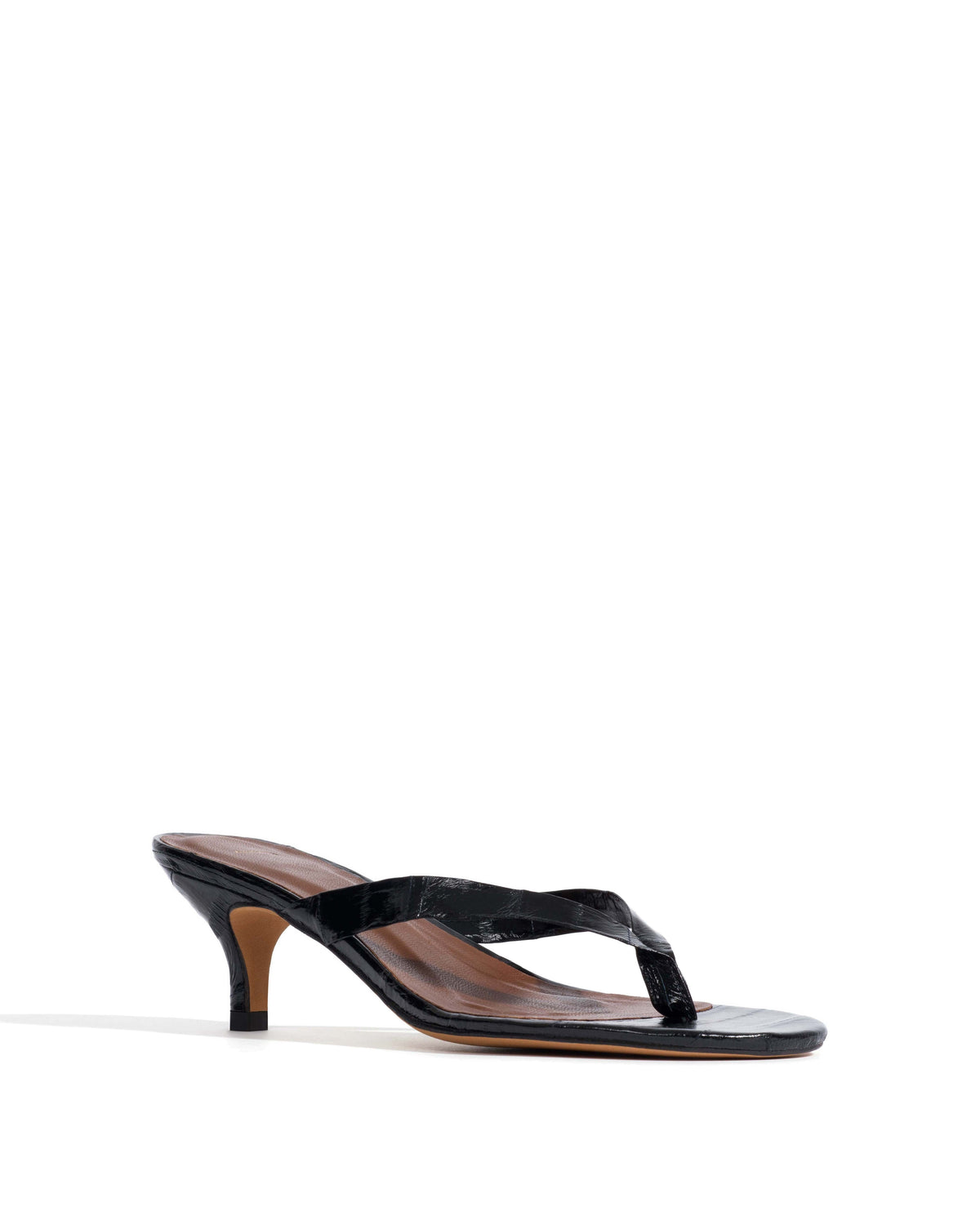 Chung 50 kitten Shiny eel Black