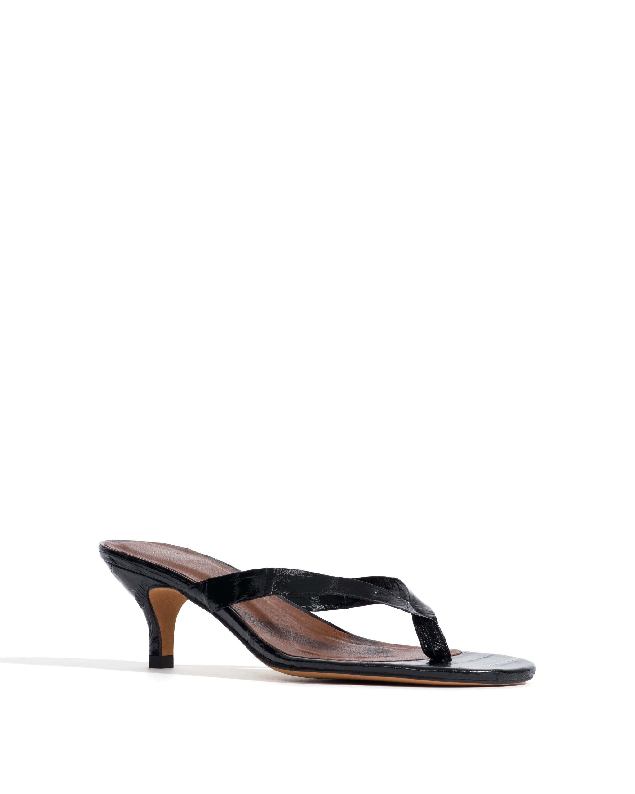 Chung 50 kitten Shiny eel Black