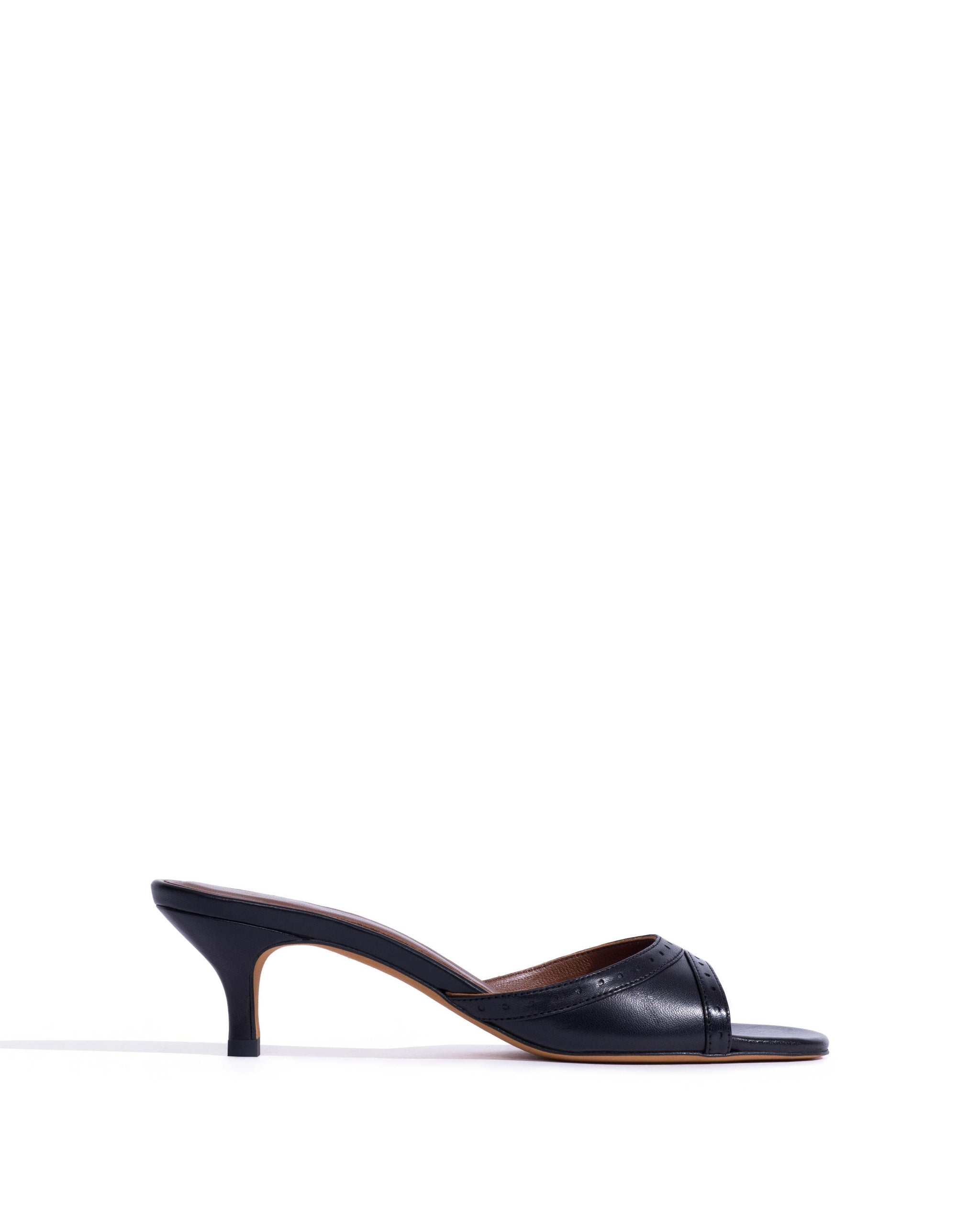 Santhy 50 kitten Shiny lamb Black